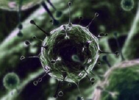 Bacterial microorganisms as a cause of prostatitis